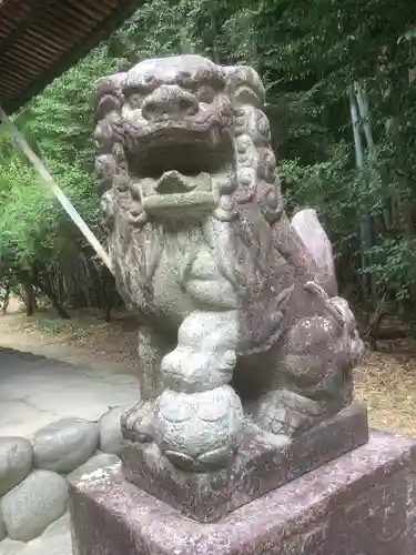 天神社（小渕天神）の狛犬