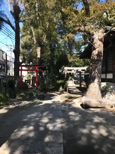 八阪神社の鳥居