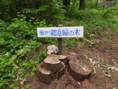 戸和田神社(青森県)