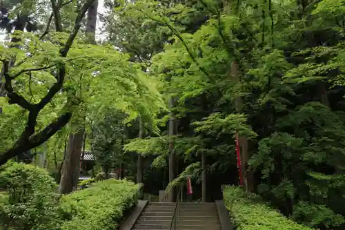 今熊野観音寺(京都府)