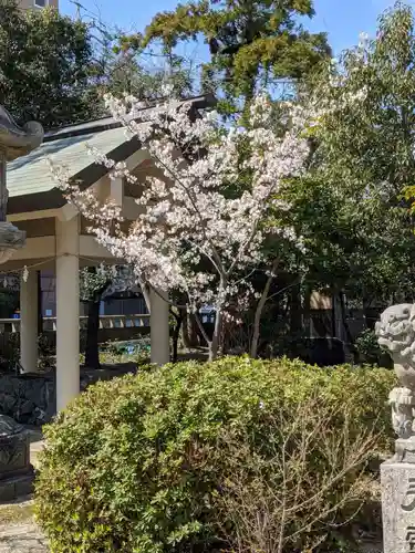 三重縣護國神社の自然