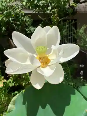 生田神社(兵庫県)