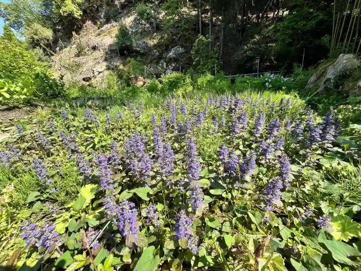 白毫寺熊野権現社(兵庫県)