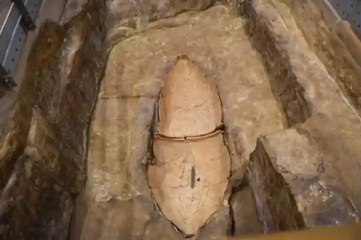 吉野ヶ里遺跡北墳丘墓の{uncategorized: "未分類", other: "その他", undefined: "問題あり", building: "その他建物", grave: "お墓", sacred_gate: "鳥居", guardian: "狛犬", statue: "像", buddha: "仏像", history: "歴史", nature: "自然", garden: "庭園", animal: "動物", pagoda: "塔", temizu: "手水舎", mountain_gate: "山門・神門", sanctuary: "本殿・本堂", subordinate: "末社・摂社", art: "芸術", scenery: "景色", jizo: "地蔵", ema: "絵馬", goshuin: "御朱印", omikuji: "おみくじ", items: "授与品その他", amulet: "お守り", goshuincho: "御朱印帳", eats: "食事", festival: "お祭り", votive_dance: "神楽", shichigosan: "七五三参", wedding: "結婚式", experience: "体験その他", initially: "初詣", around: "周辺", anti_infection: "感染症対策"}