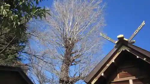 朝日氷川神社(埼玉県)
