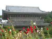 光明寺の山門・神門