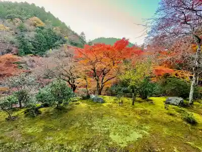 高山寺の{uncategorized: "未分類", other: "その他", undefined: "問題あり", building: "その他建物", grave: "お墓", sacred_gate: "鳥居", guardian: "狛犬", statue: "像", buddha: "仏像", history: "歴史", nature: "自然", garden: "庭園", animal: "動物", pagoda: "塔", temizu: "手水舎", mountain_gate: "山門・神門", sanctuary: "本殿・本堂", subordinate: "末社・摂社", art: "芸術", scenery: "景色", jizo: "地蔵", ema: "絵馬", goshuin: "御朱印", omikuji: "おみくじ", items: "授与品その他", amulet: "お守り", goshuincho: "御朱印帳", eats: "食事", festival: "お祭り", votive_dance: "神楽", shichigosan: "七五三参", wedding: "結婚式", experience: "体験その他", initially: "初詣", around: "周辺", anti_infection: "感染症対策"}