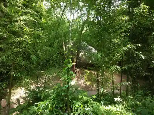 神在神社の自然