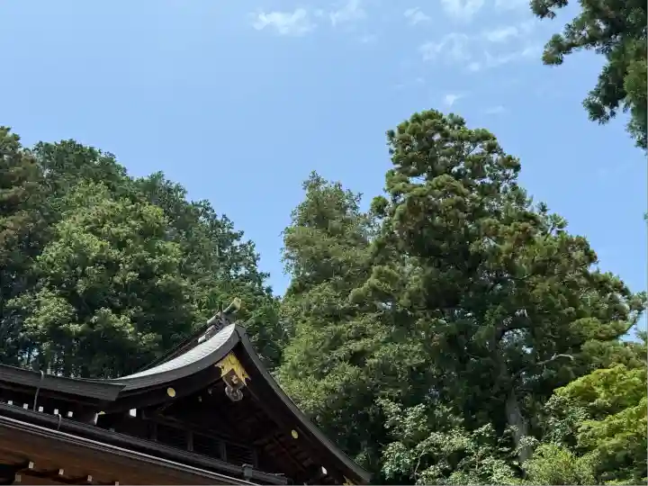 高麗神社(埼玉県)
