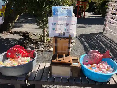 富知六所浅間神社のおみくじ