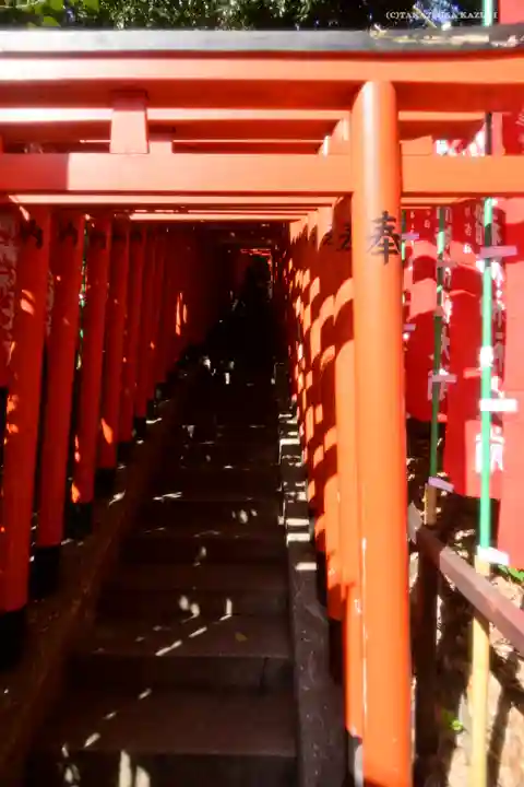 日枝神社の鳥居