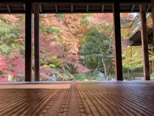 蓮華寺（洛北蓮華寺）(京都府)