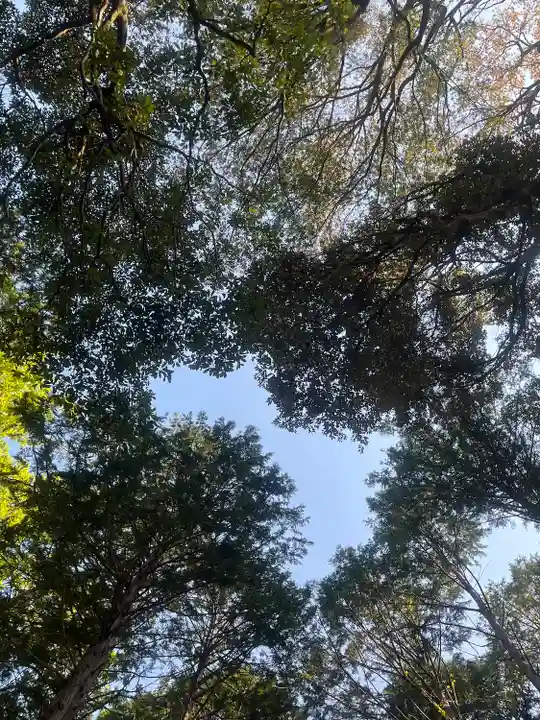 眞名井神社(籠神社奥宮)(京都府)