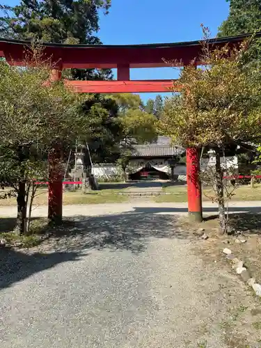 賀茂神社の鳥居