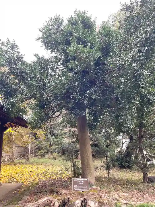 若松天神社(滋賀県)