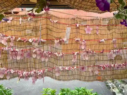 仙台大神宮のおみくじ