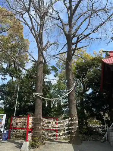 多摩川浅間神社の自然