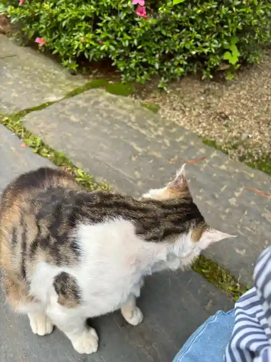 斗瑩稲荷神社(宮城県)