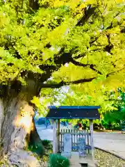 西蓮寺(茨城県)