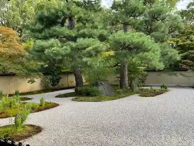 廬山寺(廬山天台講寺)(京都府)