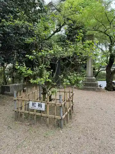 高岡市護国神社の自然