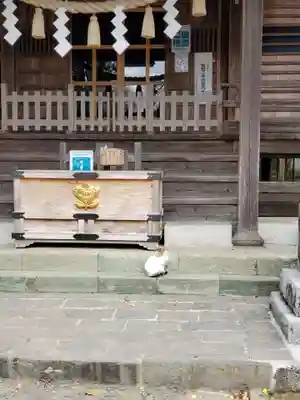 橘樹神社(千葉県)