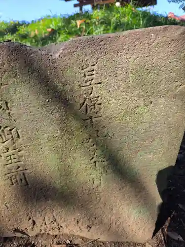 天神社(埼玉県)