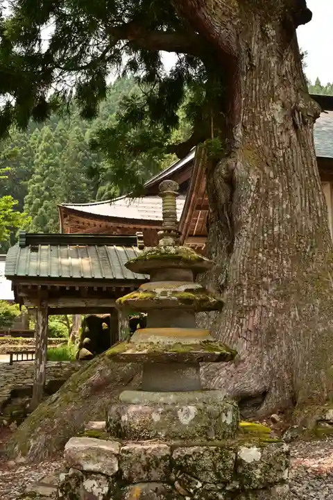 白山神社(長滝神社・白山長瀧神社・長滝白山神社)(岐阜県)