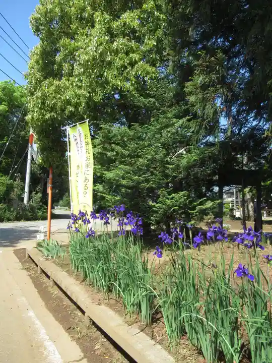 伏木香取神社(茨城県)