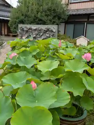 長善寺(東京都)