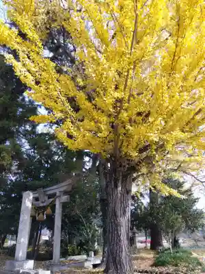 佐味神社(滋賀県)