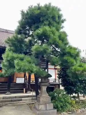 善光寺(東京都)