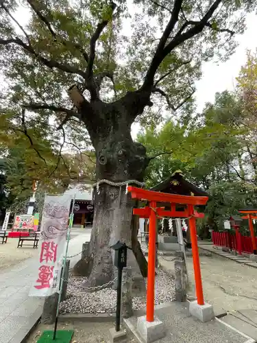新田神社(東京都)