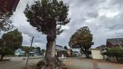 相原八幡宮(神奈川県)