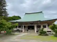 豪徳寺の本殿・本堂