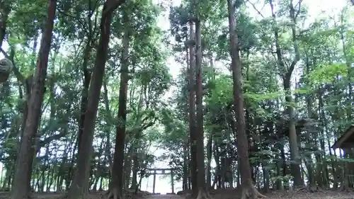 東蕗田天満社の建物その他