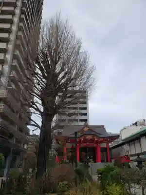 成子天神社の本殿・本堂