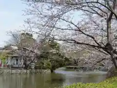 鶴岡八幡宮(神奈川県)