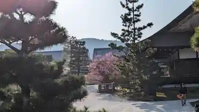 大覚寺(京都府)