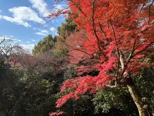 霊鑑寺門跡(京都府)