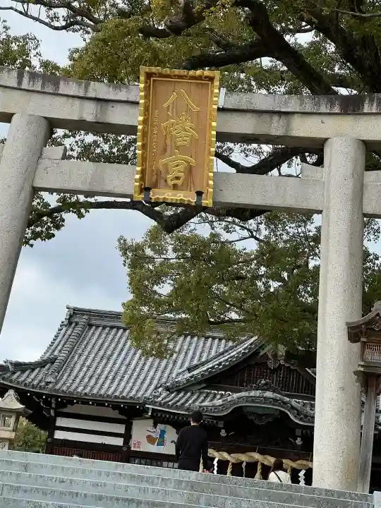 百舌鳥八幡宮の{uncategorized: "未分類", other: "その他", undefined: "問題あり", building: "その他建物", grave: "お墓", sacred_gate: "鳥居", guardian: "狛犬", statue: "像", buddha: "仏像", history: "歴史", nature: "自然", garden: "庭園", animal: "動物", pagoda: "塔", temizu: "手水舎", mountain_gate: "山門・神門", sanctuary: "本殿・本堂", subordinate: "末社・摂社", art: "芸術", scenery: "景色", jizo: "地蔵", ema: "絵馬", goshuin: "御朱印", omikuji: "おみくじ", items: "授与品その他", amulet: "お守り", goshuincho: "御朱印帳", eats: "食事", festival: "お祭り", votive_dance: "神楽", shichigosan: "七五三参", wedding: "結婚式", experience: "体験その他", initially: "初詣", around: "周辺", anti_infection: "感染症対策"}