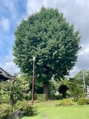 貞昌院(神奈川県)