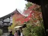 金地院(京都府)