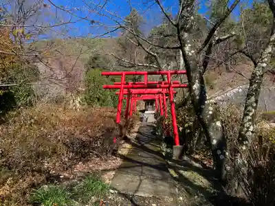 大善寺の鳥居