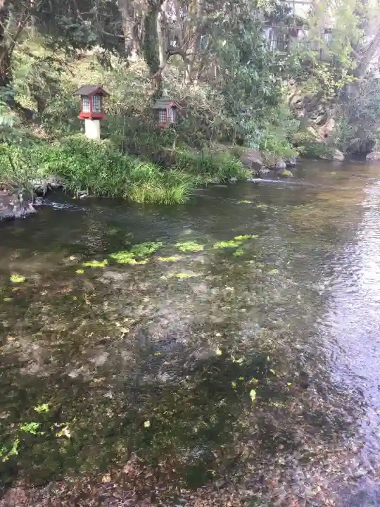 富士山本宮浅間大社(静岡県)