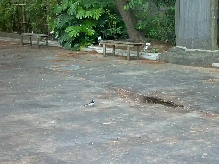 西蓮寺(千葉県)