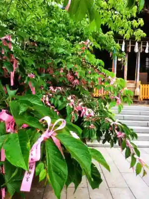 桜神宮(東京都)