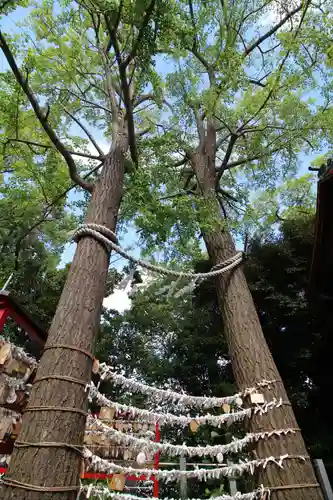 多摩川浅間神社(東京都)