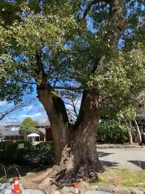 高麗神社(埼玉県)
