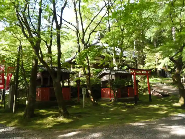 今熊野観音寺(京都府)